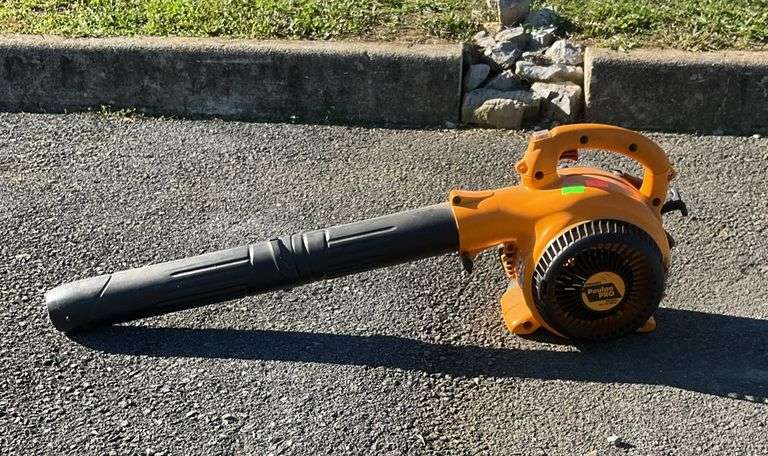 Poulan pro leaf blower, 25cc, 200MPH, item does have compression but couldn’t get stared