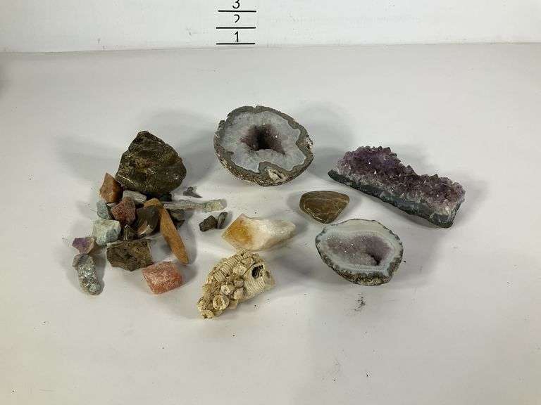 Fossils, rocks, stones Hash Auctions