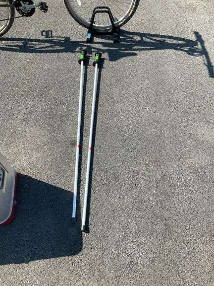 Pair of hiking sticks
