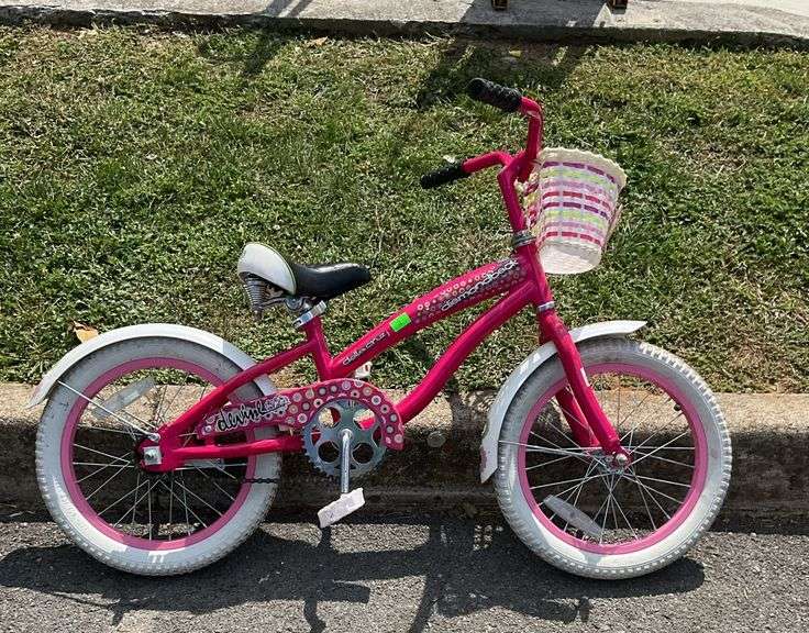 Diamond back girls bike, Devine girl ed. with poly front basket,  white fenders with floral stickers, wide rubber grip handles, wide bottom diamond stitched seat, tires have air and brakes work, ready to ride condition