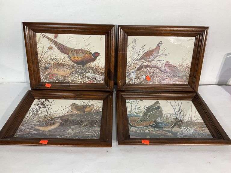Uttermost Wild Flourish Framed Floral Prints Set/6