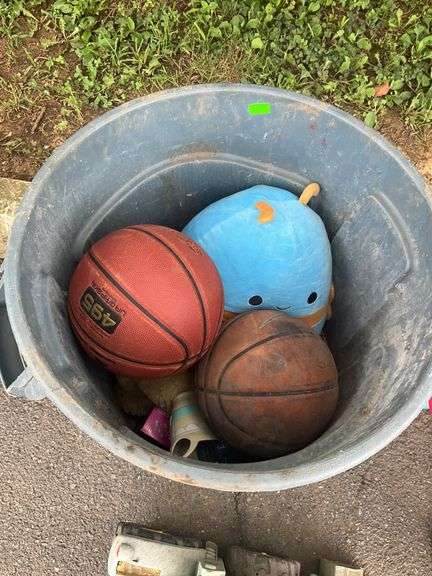 Toys, Plush Animal, and Basketballs Lot