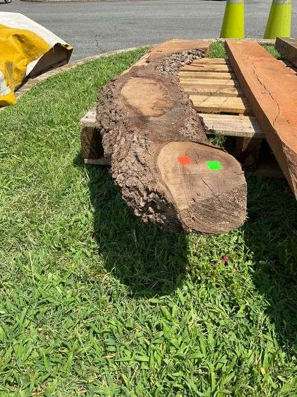 Natural Edge Lumber Slab, 80”L, Width Tapering 12” to 5”