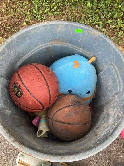 Toys, Plush Animal, and Basketballs Lot