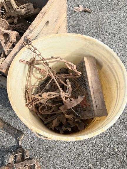 Plastic Bucket and Wooden Crate with Assorted Metal Traps