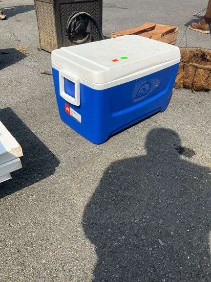 Blue and White Insulated Cooler with Hinged Lid