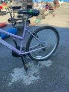 Purple Roadmaster Granite Peak Women’s Mountain Bike
