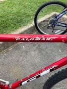 GT Palomar Red Bicycle with Rear Cargo Rack and Triple Triangle Technology