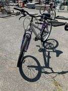 Magna Great Divide 21-Speed Mountain Bike With Silver and Purple Frame