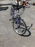 Magna Great Divide 21-Speed Mountain Bike With Silver and Purple Frame