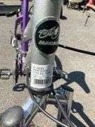 Magna Great Divide 21-Speed Mountain Bike With Silver and Purple Frame
