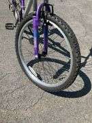 Magna Great Divide 21-Speed Mountain Bike With Silver and Purple Frame
