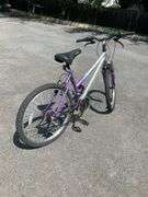 Magna Great Divide 21-Speed Mountain Bike With Silver and Purple Frame