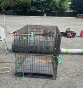 Wire Pet Cage with Plastic Liner, 42”Lx28”Wx30”H