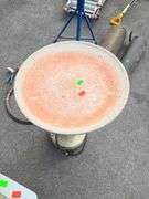 Plastic Birdbath with Electric Pump, 19” Diameter x 27” Height