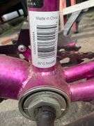 Kent 20-Inch BMX Bike with Pink and Green Design