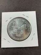 2001 silver eagle