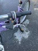 Purple Roadmaster Granite Peak Women’s Mountain Bike