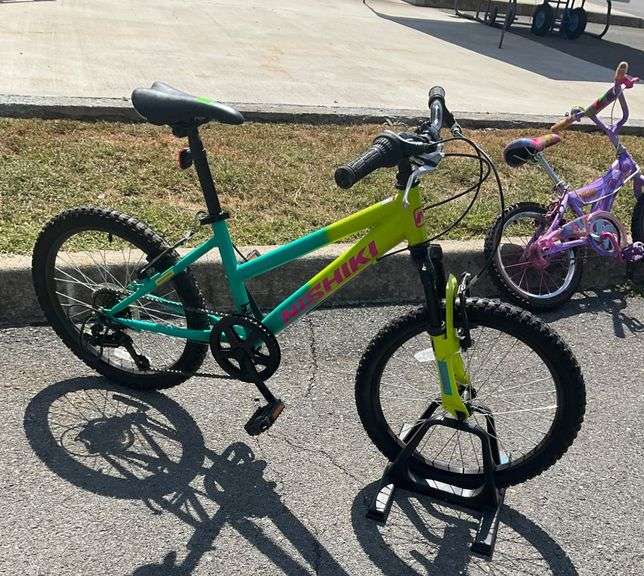 Nishiki Youth Bike with 20-Inch Wheels and Kickstand