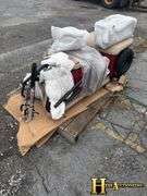 2025  IR  MINI GOLF CART