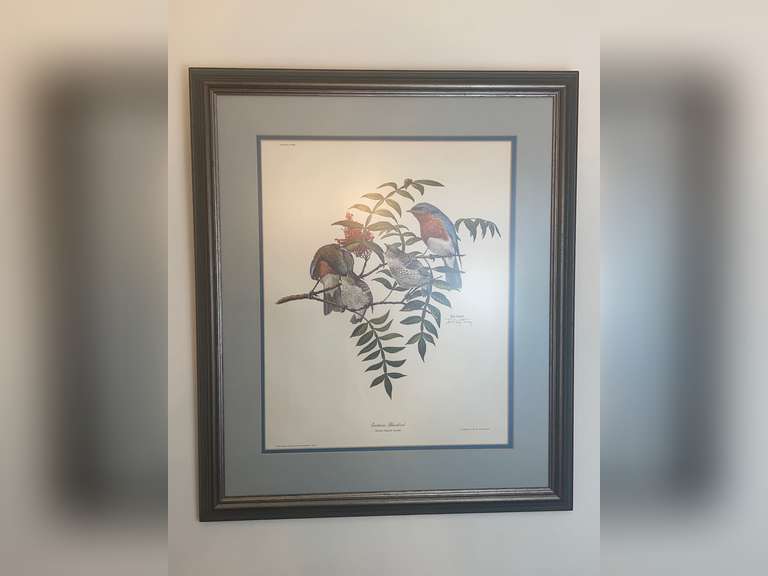 Ray Harm Print "Eastern Bluebird"