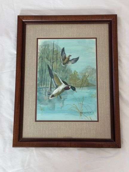 Watet Fowl Framed Print