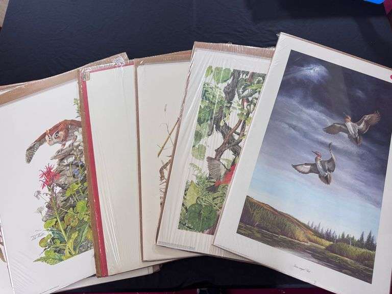 Wildlife Prints