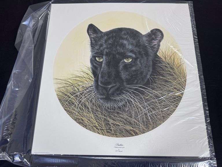 Panther Prints