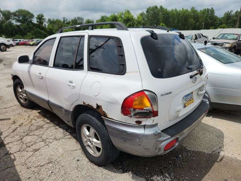 2004  HYUNDAI  Santa Fe  KM8SC13D64U851606
