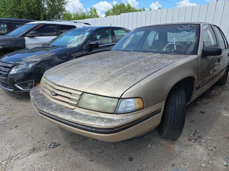 1993  CHEVROLET  Lumina  2G1WL54T9P9214612