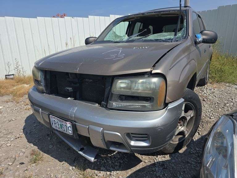 2003  CHEVROLET  Trailblazer  1GNDT13S632161853