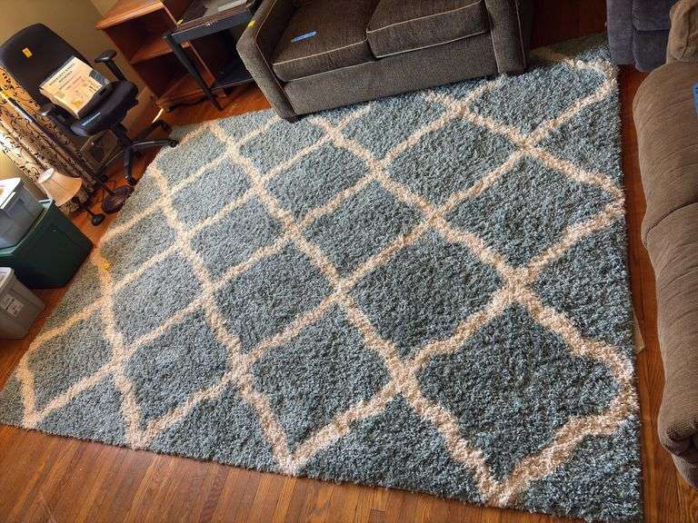 Safavieh Dallas Shag Rug