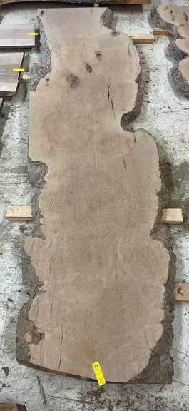 Live Edge Sycamore Slab