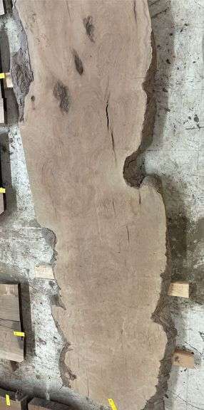 Live Edge Sycamore Slab