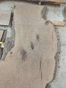 Live Edge Sycamore Slab