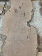 Live Edge Sycamore Slab