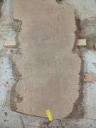 Live Edge Sycamore Slab