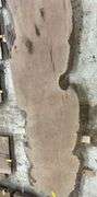 Live Edge Sycamore Slab