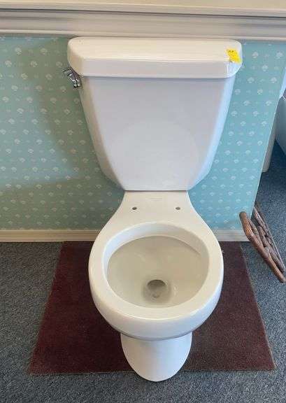 Kohler Toilet