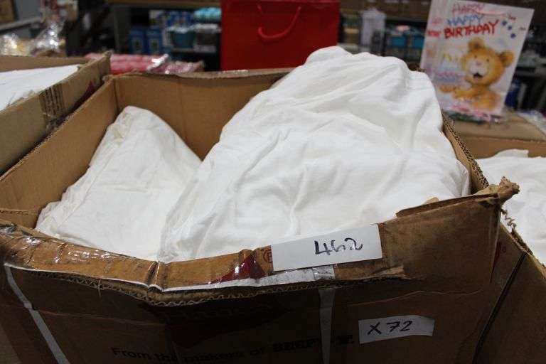 Brand new DreamTrips graphic T-Shirts in X-Large Size, lot sold by the shirt