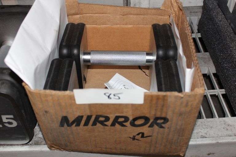 Brand New Mirror Connected Dumbbells 10 lbs
