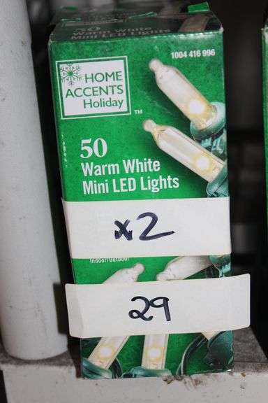 Home Accents Holiday 50 Warm White Mini LED Lights