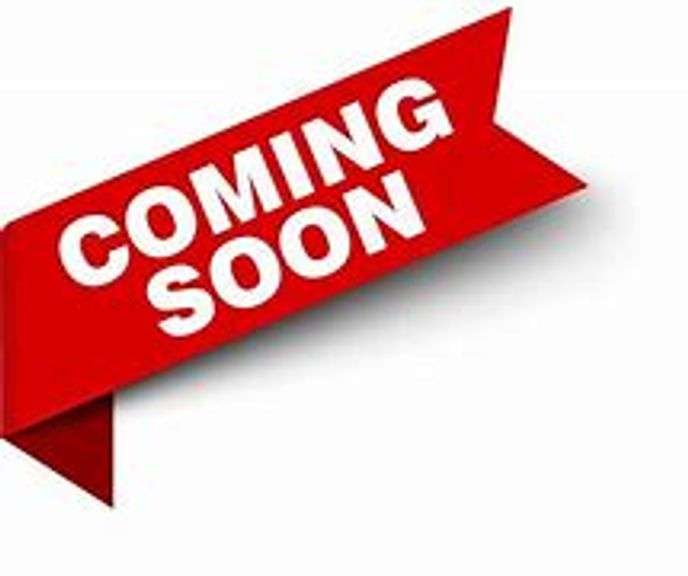 ALL MUST GO !!! .25 CENT BIDS !!! ALL MUST GO