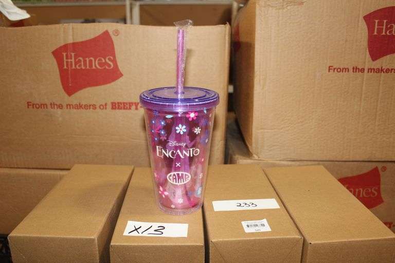 Brand new Camp X Disney's Encanto Isabella Kids Plastic Tumbler With Straw Retail $20Ea