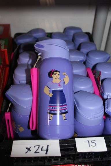 Brand New Camp X Disney'S Encanto Collab Kids Metal Water Bottle Luisa Theme Hmkd-Cmp-B5Y6 Retail $22Ea