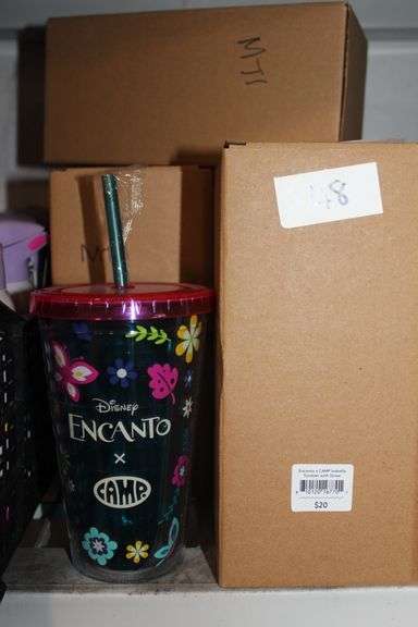 Brand New Camp X Disney'S Encanto Collab Kids Plastic Tumbler With Straw Isabela & Mirabel Themes Retail $20Ea.