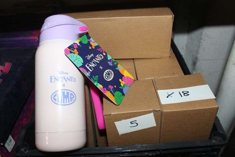 Brand New Camp X Disney Encanto Collab Kids Metal Water Bottle Isabela Theme Hmkd-Cmp-Qo32 Retail $22Ea
