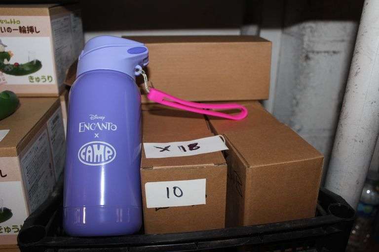 Brand New Camp X Disney'S Encanto Collab Kids Metal Water Bottle Luisa Theme Retail $22Ea