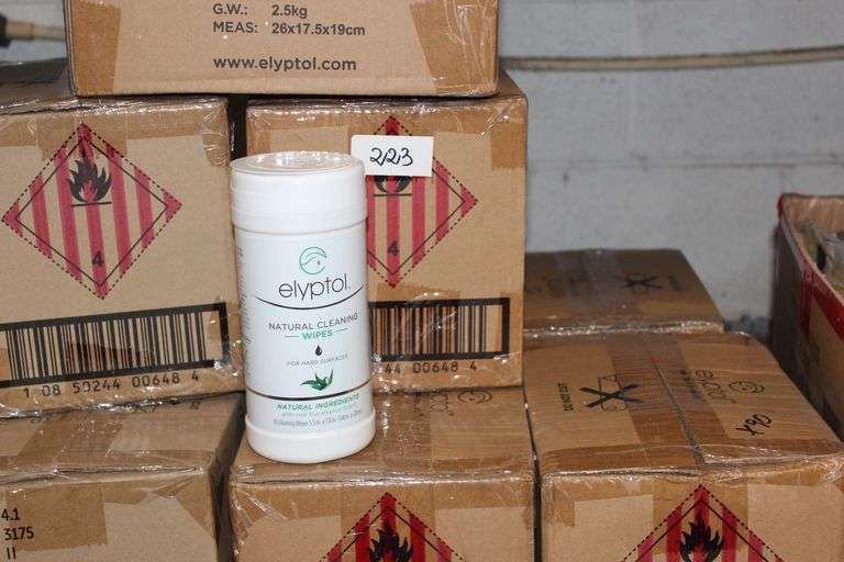 Elyptol Ehw060 Antimicrobial Hand Sanitizer Wipes With Real Eucalyptus Scent 65 Wipes Per Container Each 6.3"X7.8"