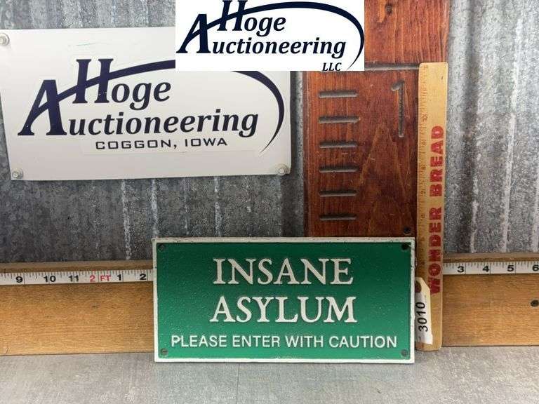 INSANE ASYLUM IRON SIGN, 10.5W X 5T"